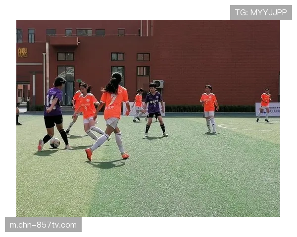 商洛U15世锦赛进行百余场角逐 丹凤县承办两场赛事