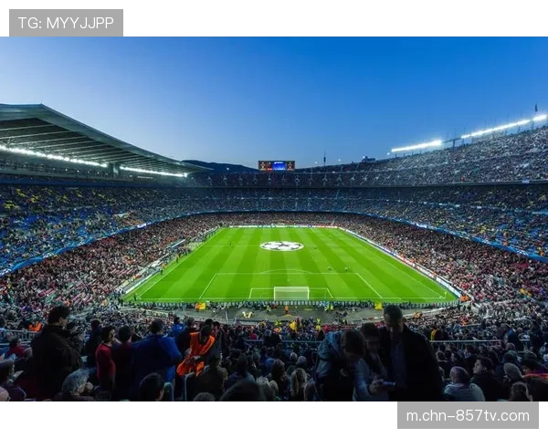 法甲球迷观赛成本涨20%，付费订阅分级制引争议